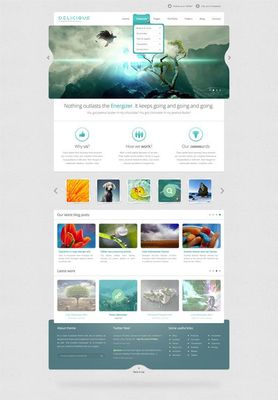 网页设计与网站建设 从规划到上线的完整指南